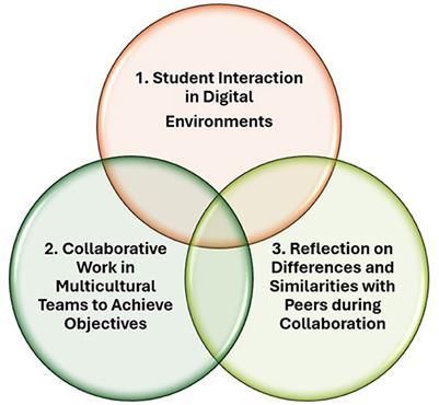 Scale to measure student perception in collaborative online international learning experiences: design and validation